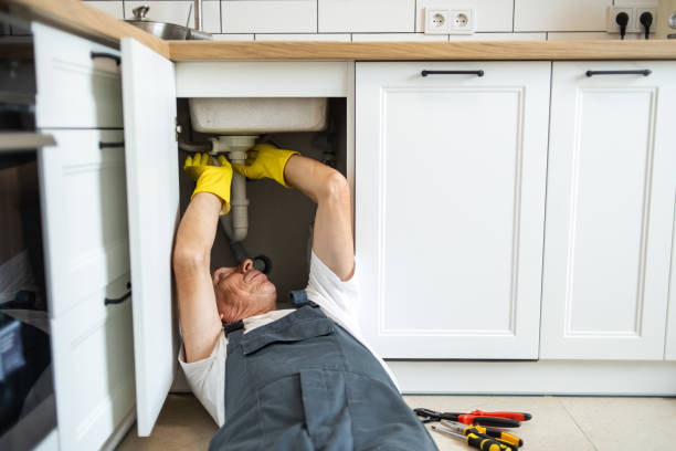 Best Plumbing System Maintenance  in Old Westbury, NY